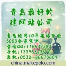 【青岛网站建设|青岛优网|青岛商城网站制作】价格,厂家,图片,网页设计,青岛易优网信息技术市场部-