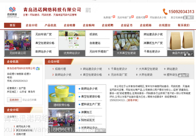 【青岛展示型网站建设公司 企业网站设计制作公司图片】青岛展示型网站建设公司 企业网站设计制作公司图片大全 - 青岛迅诺网络科技